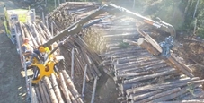 New Rotobec Stationary Loader stacking logs
